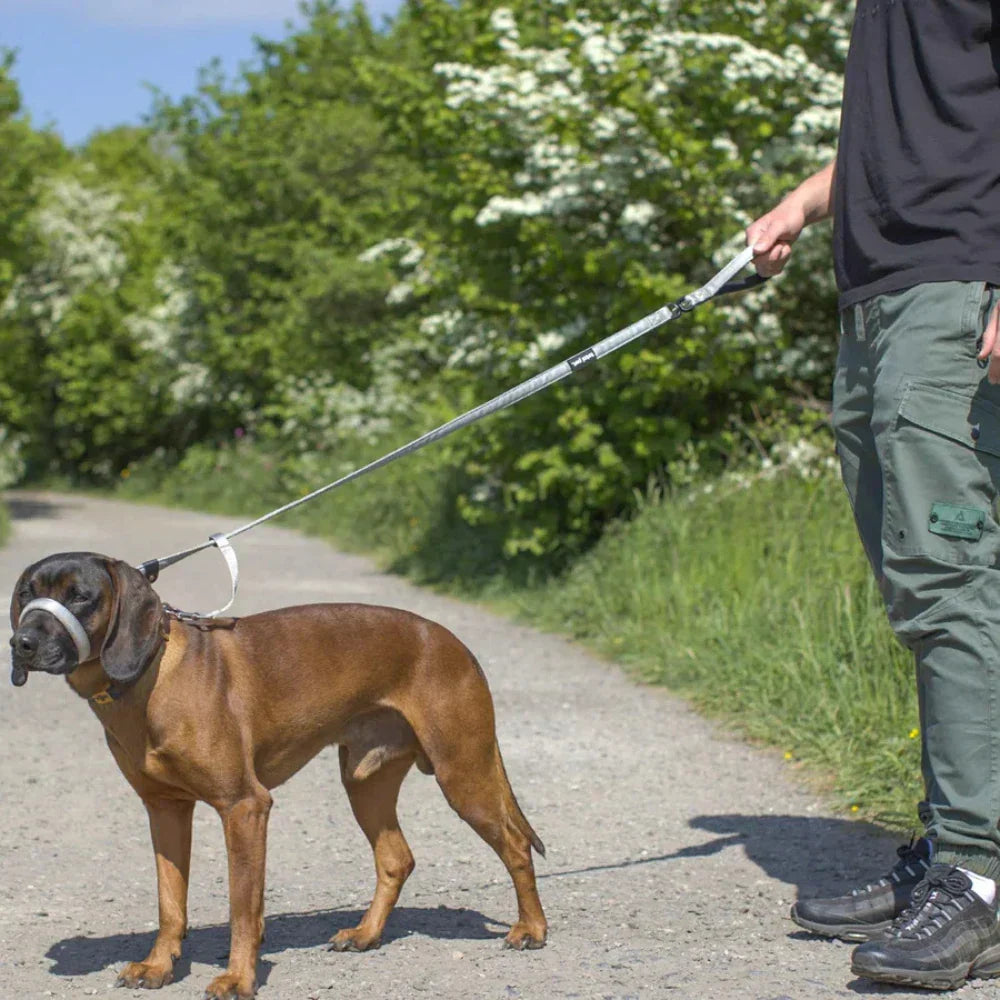KävelyKevyt — Rauhallinen lenkki ilman vetoa