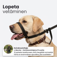 KävelyKevyt — Rauhallinen lenkki ilman vetoa