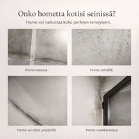 – poistaa homeen ilman hankausta