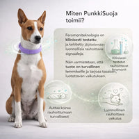 PunkkiSuoja – Luotettava suoja punkkeja vastaan