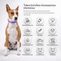 PunkkiSuoja – Luotettava suoja punkkeja vastaan